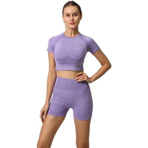 SALSPOR Fitness Sets Women High Waist Shorts Skinny Sets Female O-Neck Short Sleeve Seamless Shorts Sets Feminine Summer