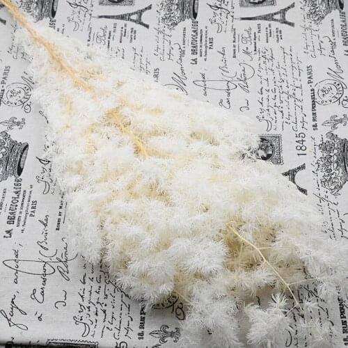 High Quality Fluffy Flower Penglai Song Real Natural Preserved Dried Bouquet Celebrity Home Garden Desktop Garden Decoration Out