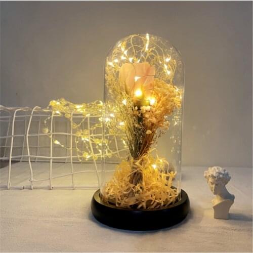 Romantic Rose Dry Gypsophila Sea Lavender Flower LED Copper light Glass Lamp Night Light Creative Gift For Girl Home decoration
