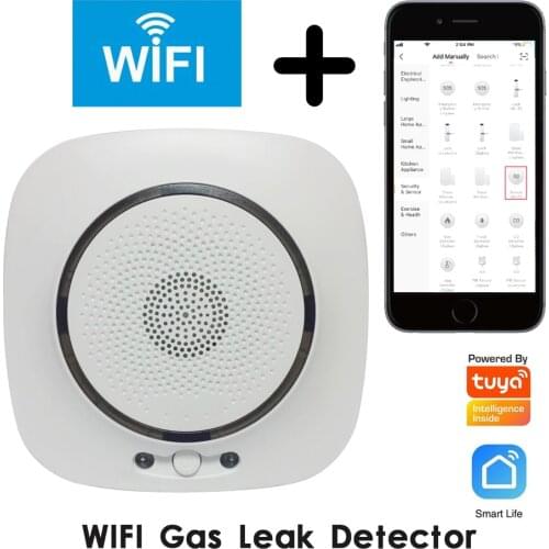 NEW standalone natural gas alarm coal gas leak detector with TUYA wireless WIFI function long range control smart home device
