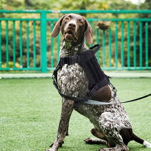 Tactical Dog Vest Pet Supplies