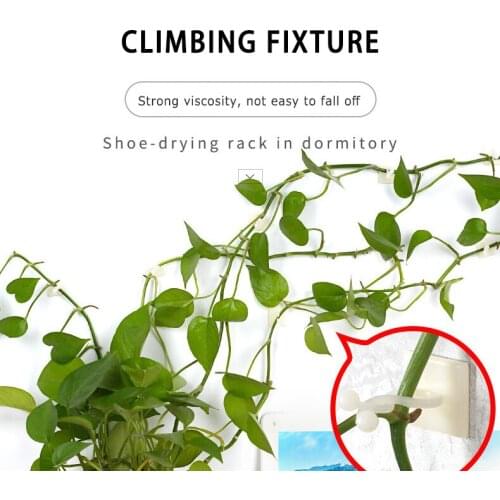 10/20/50 PCS Self-Adhesive Plant Climbing Wall Fixture Clips Home Vine Hanging Holder Hook Decoration Plant Supports TSLM1