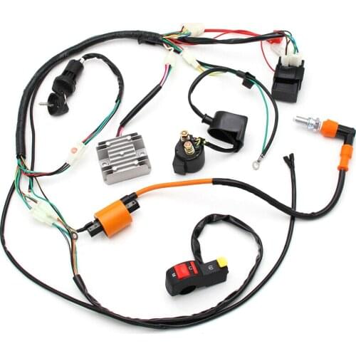 Electric Wiring Harness Wire Loom For ATV QUAD 150 200 250 300cc Stator CDI Coil