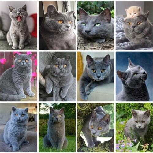 Huacan New 5D Diamond Painting Full Square Cat Art DIY Diamond Embroidery Mosaic Animal Decorations Home