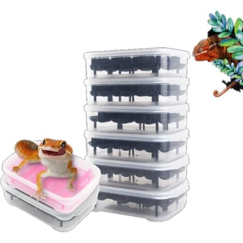 14 Cells Climbing Pet Breeding Lizard Gecko Hatching Box Transparent Reptile Box Plastic Incubator Rearing Supplies