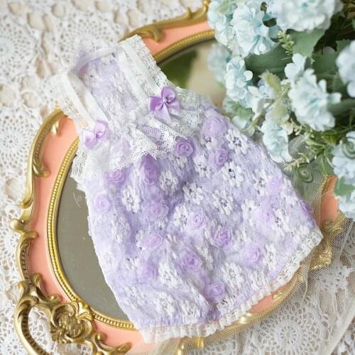 Spring and Summer New Pet Rose Lace Camisole Small Dog Clothes Teddy Bomei Pomeranian Poodle Bichon Skirt Cat Dog Clothes