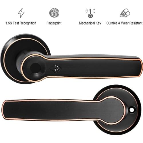 APP Remotely WIFI Door Lock Biometric Fingerprint Smart Lock ,Password Keyless Door Lock,Fechadura Digital door lock Alexa BT