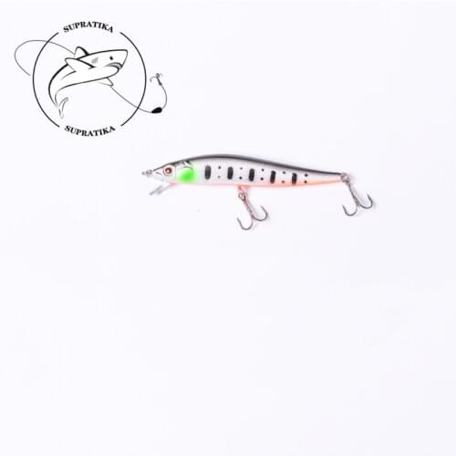 Artificial Minnow Sinking Wobblers 10cm/10g Freshwater Fishing Lure Hard Bait 3D Eyes ProfessionalPlastic Fishing Lure