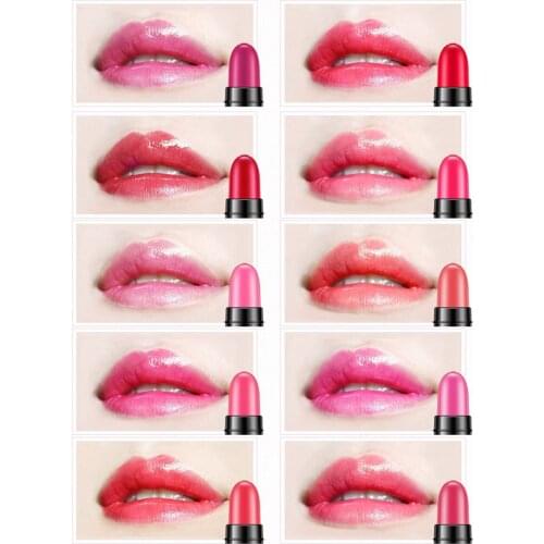 12pcs/set Women Matte Lip Gloss Mini Long Lasting Lipstick Makeup 12 Colors Not Easy To YTake Off Moisturizing