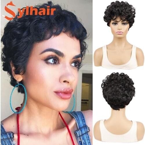 Sylhair Ombre Afro Curly Wave Synthetic Hair Wig Short Mongolian Afro Fake Hair Wig For Women Pixie Cut Afro Kinky Hair Full Wig