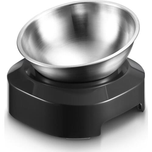 Elevated Cat Bowls 15 Tilted Cat Food and Water Bowls with Stainless Steel Pet Feeding Bowls for Cats and Small Dogs