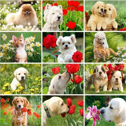 EverShine Diamond Embroidery Full Square Drill Animal Mosaic Kits Diamond Painting Dog Handmade Hobby Gift Flower Cross Stitch