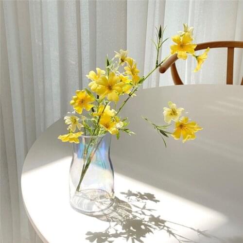 Flower Vase For Table Decoration Living Room Glass Vase Planter Tabletop Terrarium Glass Containers Desktop Table Plant Vase