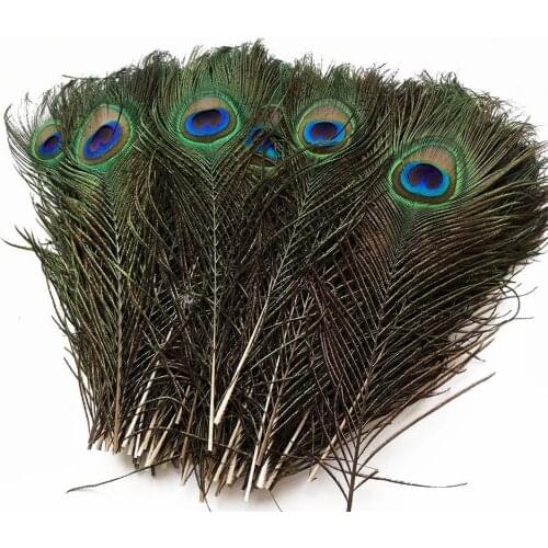 20Pcs Wholesale DIY Crafts Peacock Feathers Wedding Party Accessories Natural Feathers Plume Jewelry Making Decoration Plumas