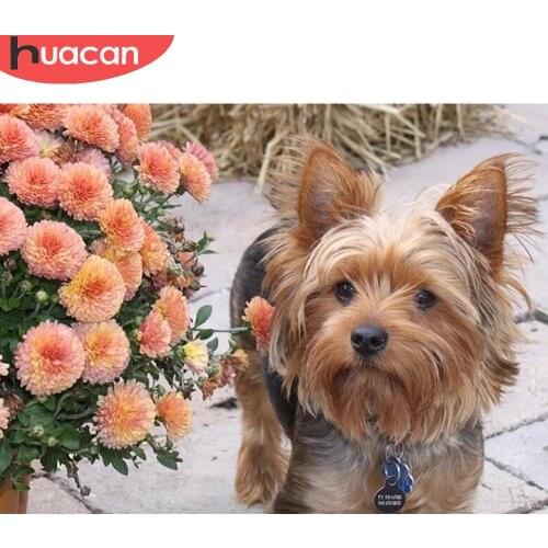 HUACAN Full Square/round Diamond Painting Dog Embroidery Mosaic Animal Flower Cross Stitch Home Decor