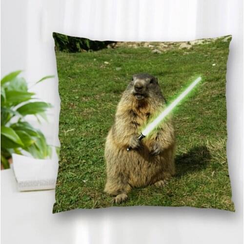 Hot Sale Custom Decorative Pillowcase Humorous Animal Art Square Zippered Pillow Cover Best Nice Gift 20X20cm 35X35cm 40x40cm