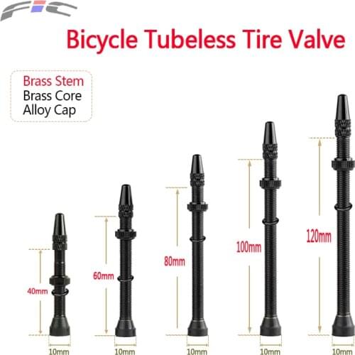 Bicycle Valve 2 pcs 40/60/80/100/120 mm MTB Road Bike F/V Presta Tubeless Tires Conversion Anodize Aluminum Alloy Cap Brass Stem