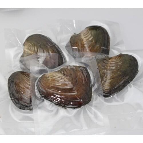 10pcs/lot 6-7mm Mix 28 Colors Round Triplets Pearls FreshWater Oysters Individually Wrap Surprising Pack Free Shipping FR033