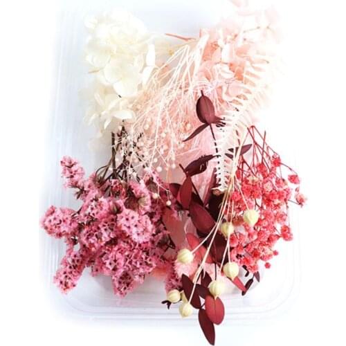 1 Box Real Mix Dried Flowers for Aromatherapy Candle Resin Jewellery Dry Plants Pressed Flower Making Craft DIY Accessor