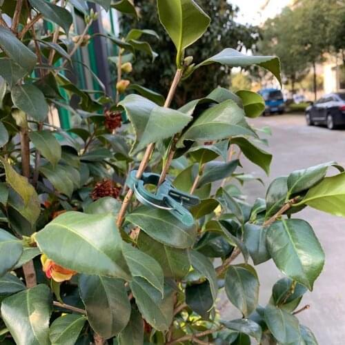 20Pcs/Set Garden Plant Flower Lever Loop Gripper Clips Stems Straighten Vine Support B1G4