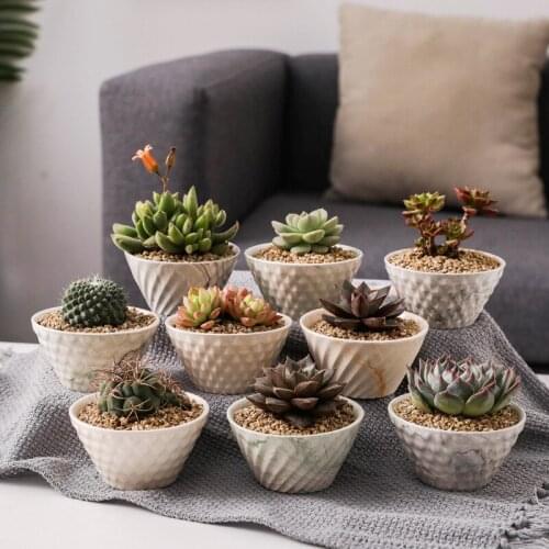 Nordic Marble Flowerpot Meat Ceramic Tabletop Pots Decoration Flowerpot Office Home Christmas Friend Gift Flower Vase Decor