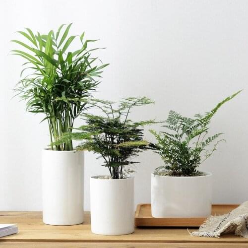 Simplicity Ceramic Flower Pot Home Decoration Planter Green Plants Bonsai Potted Fairy Garden Decoration Succulent Flower Pots