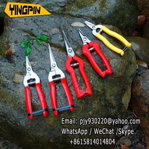 Horticultural scissors flower scissors, pruning/fruit picking/fruit tree scissors,household scissors