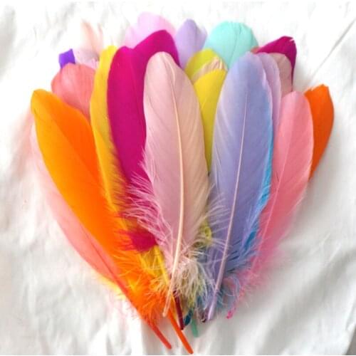 Shell Pink Hard Stick Natural Goose Feathers for Clothes 15-20cm Home Decoration Accessories Feathers for Jewelry Making Decor