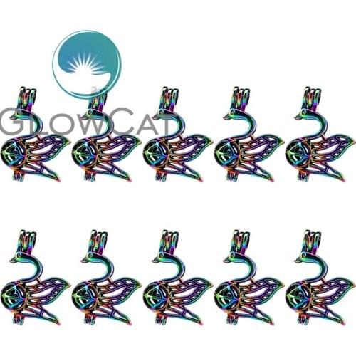 10x C671 Rainbow Colors Swan Stone Beads Cage Jewelry Making Perfume Essential Oil Diffuser Pearl Cage Locket Pendant