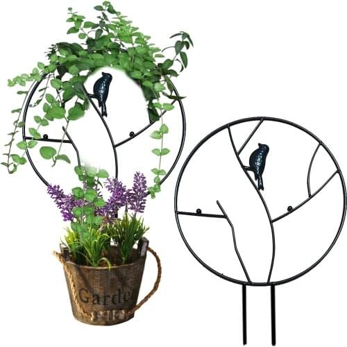 Fashion Climbing Plant Cages Garden Taid Retro Potted Plant Supports Garden Pots Planters Round Rustproof Metal Bird jardin