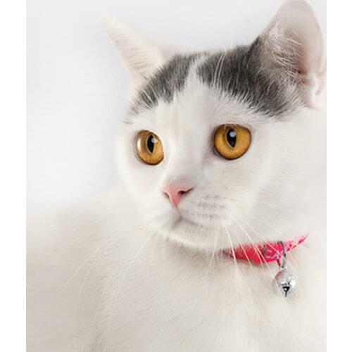 Pet Supplies Cat Accessories Collar Pet Supplies Colorul Pet Supplies Cat Collar With Bell Adjustable Buckle Collar Cat