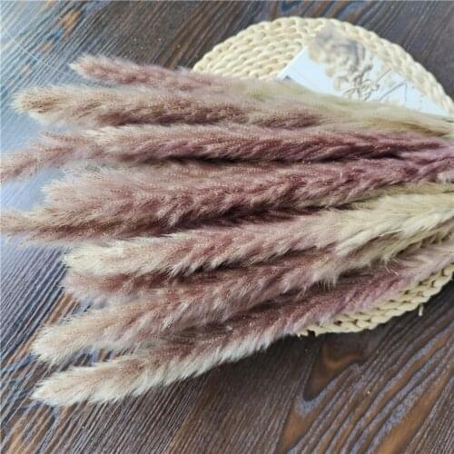 30Pcs Natural Pampas Grass Decoration Dried Flowers For Wedding Party Table Flores Room Home Decor Reed Flowers Ornament