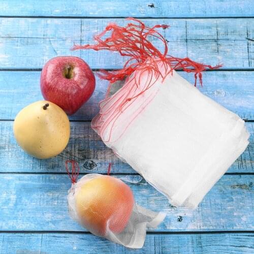 50/100Pc Anti Bird Anti Insect Netting Bags Vegetable Fruit Grape Barrier Cover Bags Protection Netting Bags Garden Pest Control