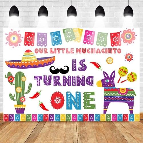 MOCSICK Mexican Theme 1st Birthday Backdrop Custom Birthday Photo Background Color Flag Banner Cactus Photo Photography Backdrop