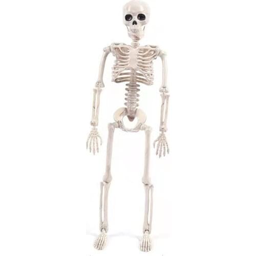 Halloween Skeleton with Flexible Joints Simulated Human Body Model Figure Great Decoration For Home Decor