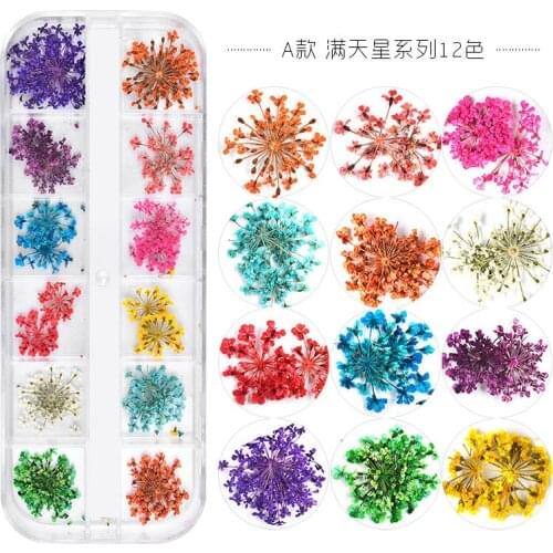1 Box Real Dried Flower Dry Plant Star Sunflower Small Daisy Boxed Nail Art For Epoxy Resin Pendant Making Craft DIY Accessories