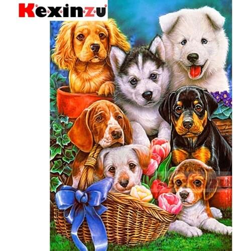 New 5D diamond painting full Square/Round diamond embroidery-Garden pet dog-rhinestone DIY mosaic Cross Stitch 3D Home Decor Y00