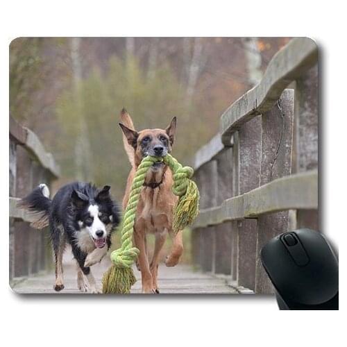 Cute Dogs,Malinois And Border Collie Belgian Shepherd Dog,dogs mouse mat