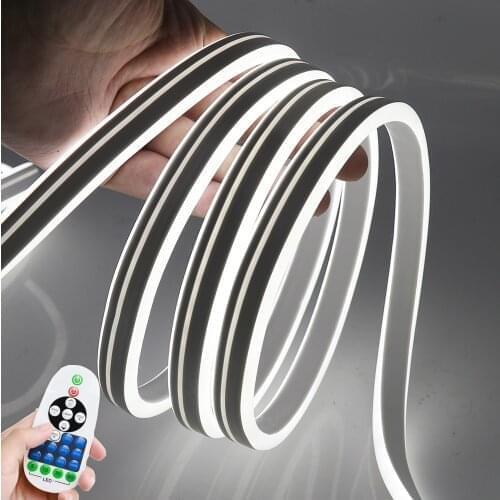 220V Double-sided Neon Light SMD2835 Waterproof Ribbon Tape with Dimmer Remote Flexible Neon Sign Tube LED Strip Light EU Plug