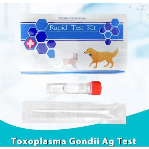 1 Pack Toxoplasma Gondii Antigen Test