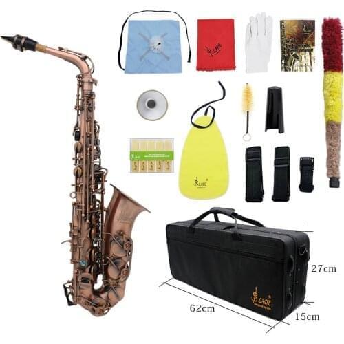 Professional Red Bronze Bend Eb E-flat Alto Saxophone Sax Abalone Shell Key Carve Pattern with Case Gloves Cleaning Straps Brush