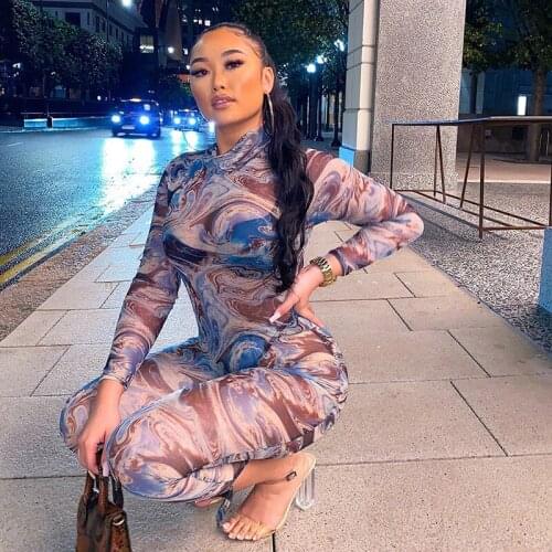 Fashion Pattern Print Mesh Spliced Two Piece Set Long Sleeve See Through Bodysuit with Leggings Transparent Matching Set Outfits