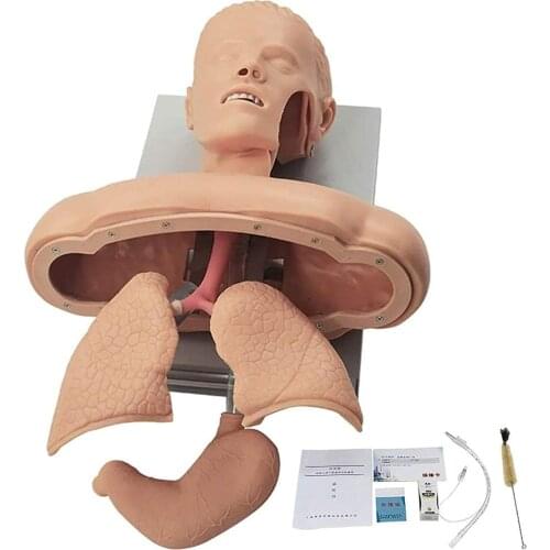 Intubation Manikin Study Teaching Model Airway Management Trainer Intubation Head Teaching Research Model Training Dummy