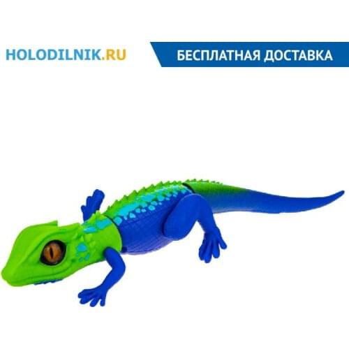 ZURU Educational Toys