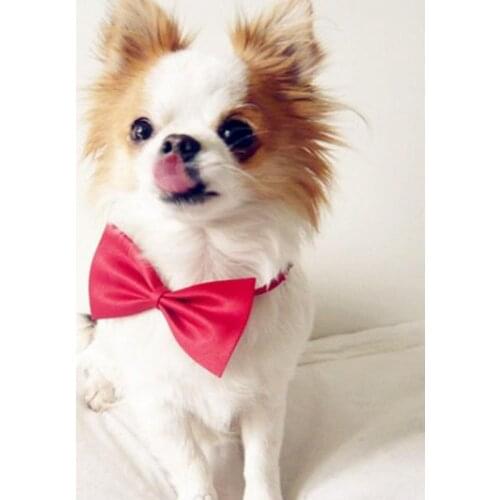 Necktie Clothes Puppy Pets Neck Tie Pet Cat Dog Collar Bow Tie Adjustable Neck Strap Cat Dog Grooming Accessories