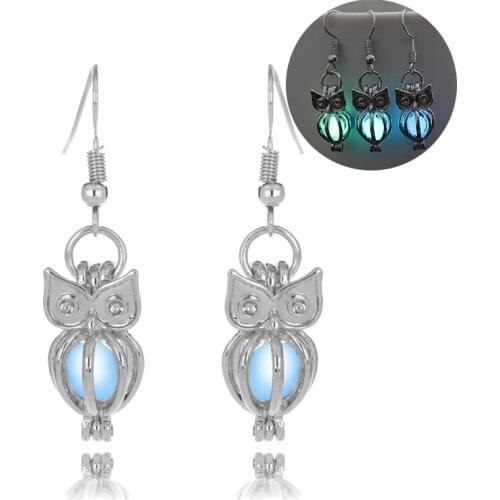 Charm Glowing Owl Drop Earrings Cute Luminous Jewelry 3 Colors Christmas Gift For Women earrings Fashion Dropshipping