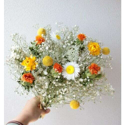 Bunny Tail Grass Dried Flowers Gypsophila Paniculata Daisy Wedding Flowers Crystal Grass Home Living Room Decoration Accessories