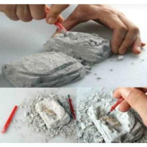 Mythological Corn Series Archaeological Science Excavation Set 6 Pcs