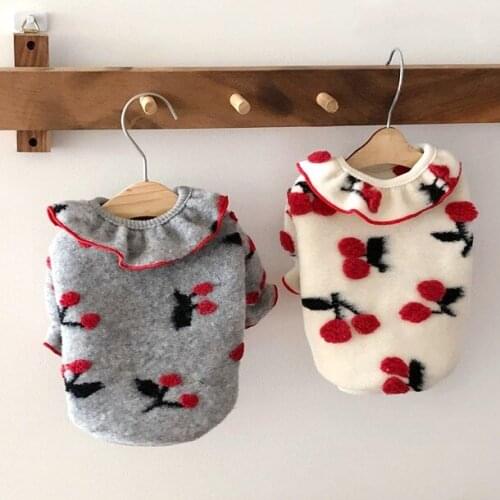 New Autumn Winter Dog Clothes Teddy Cat Poodle Schnauzer Bichon Pet Pomeranian Suitable For Small Puppies Two-legged Clothing