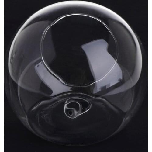 Glass Vase Wall Hanging Hydroponic Terrarium Fish Tanks Potted Plant Flower pot